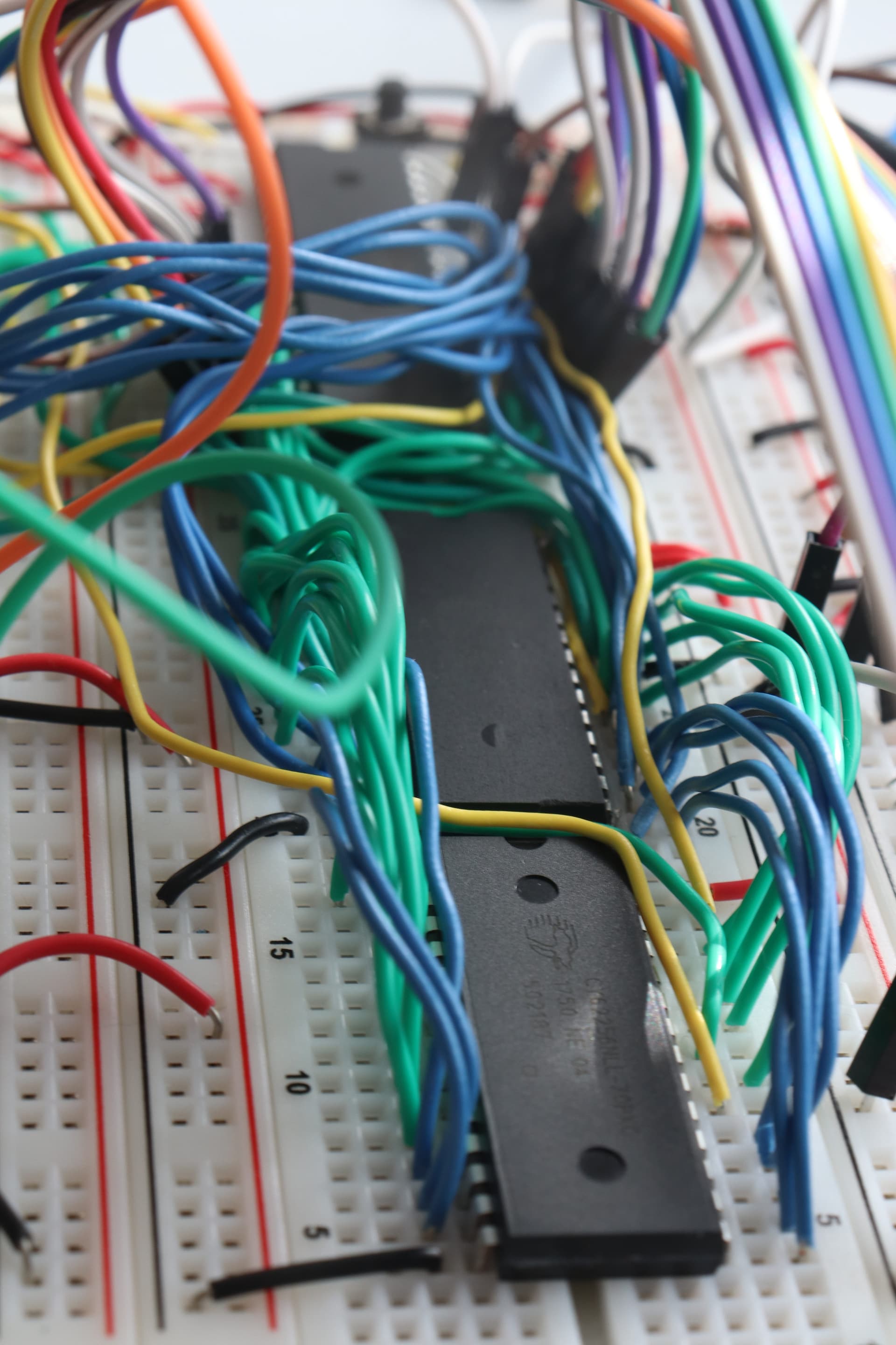 The ROM and RAM Chips