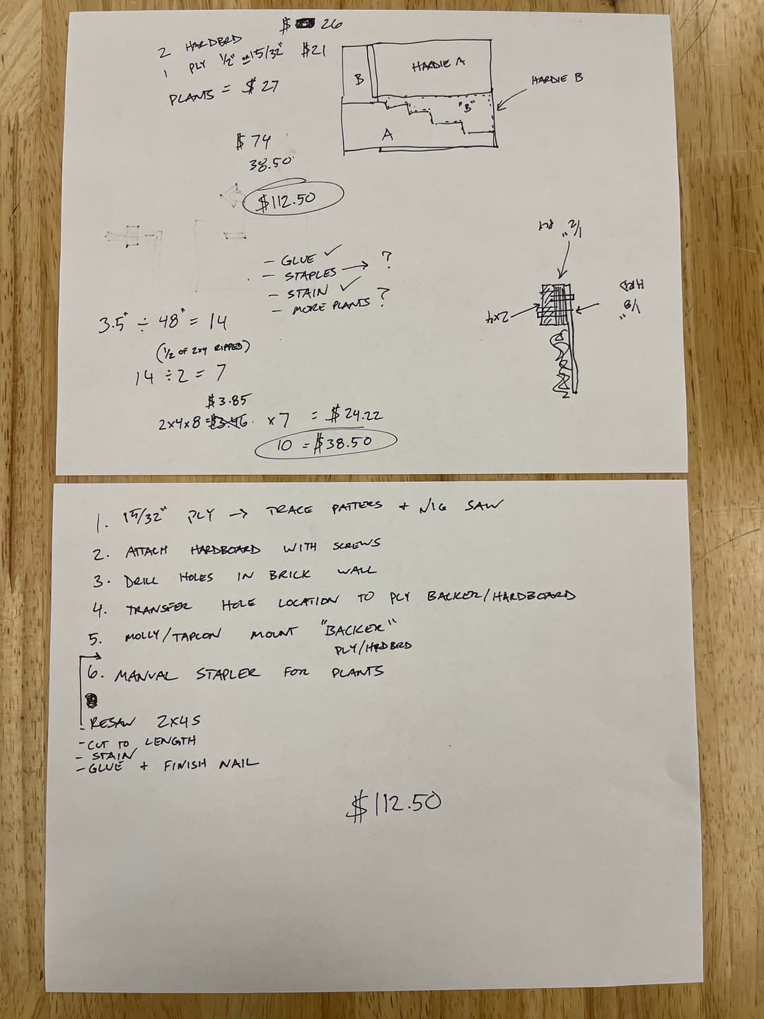 Sketch of Green Wall Concept
