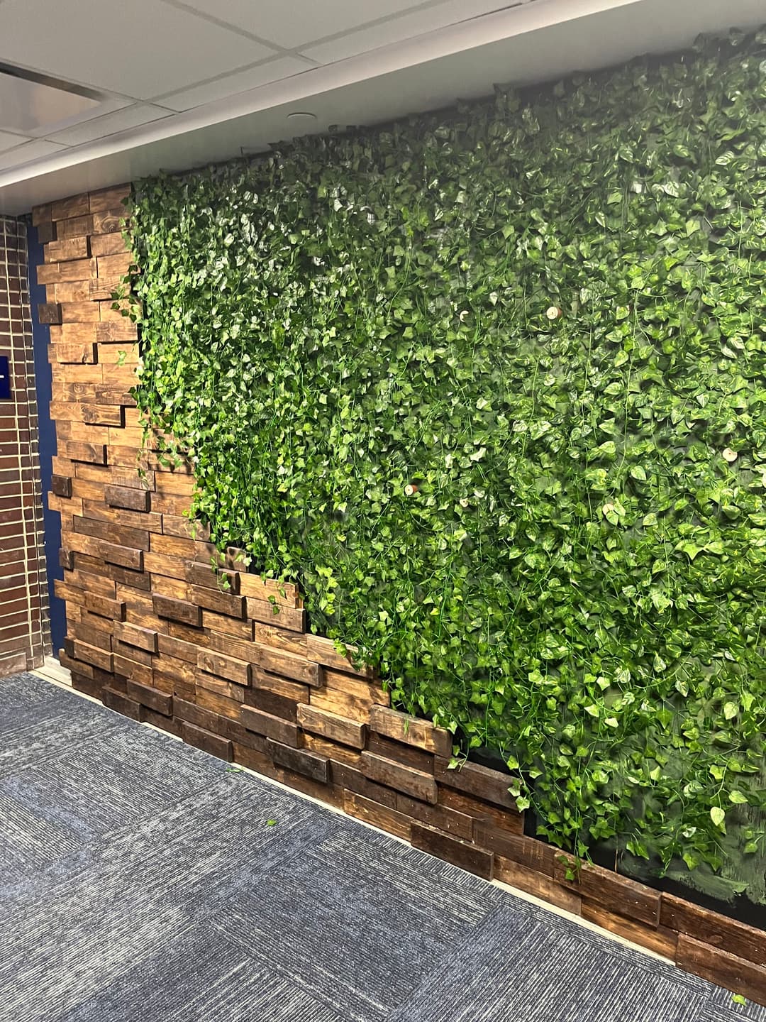 Sketch of Green Wall Concept