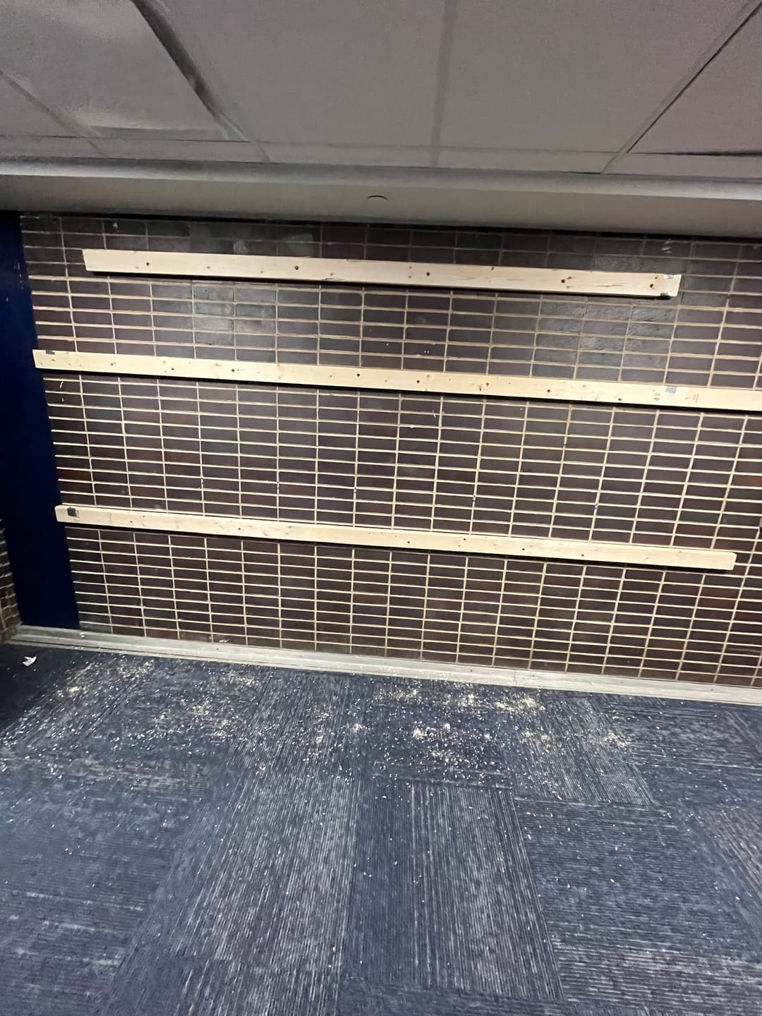 Sketch of Green Wall Concept